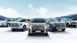 ماشین چینی برند گریت وال